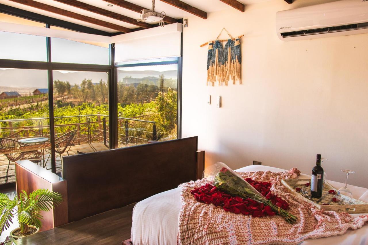 Brisa Del Valle Hotel Boutique Valle de Guadalupe Dış mekan fotoğraf